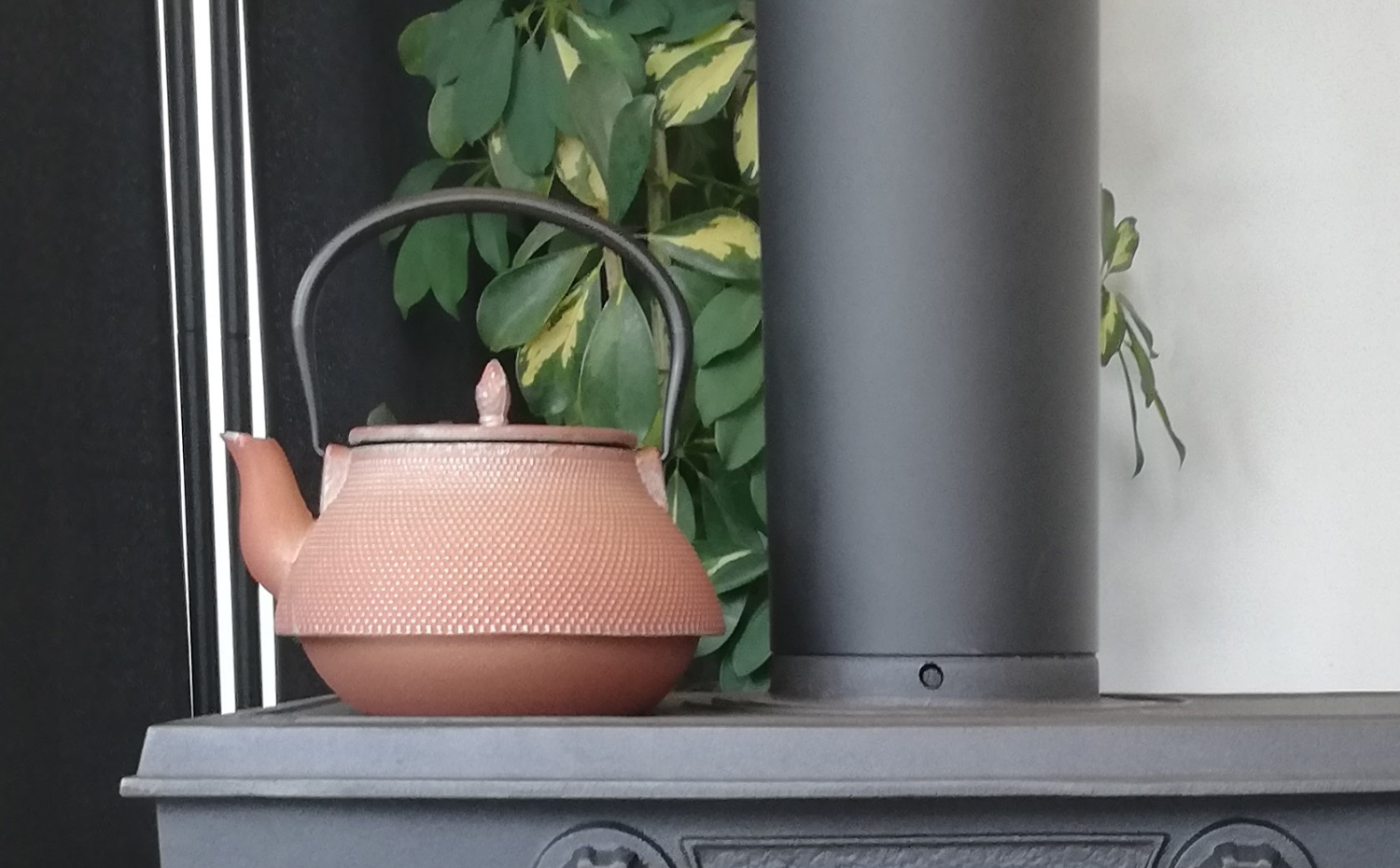 Zonder titel (500 x 310 px) (9).png