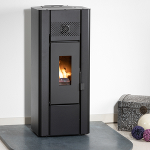 WIONA Pelletofen.jpg